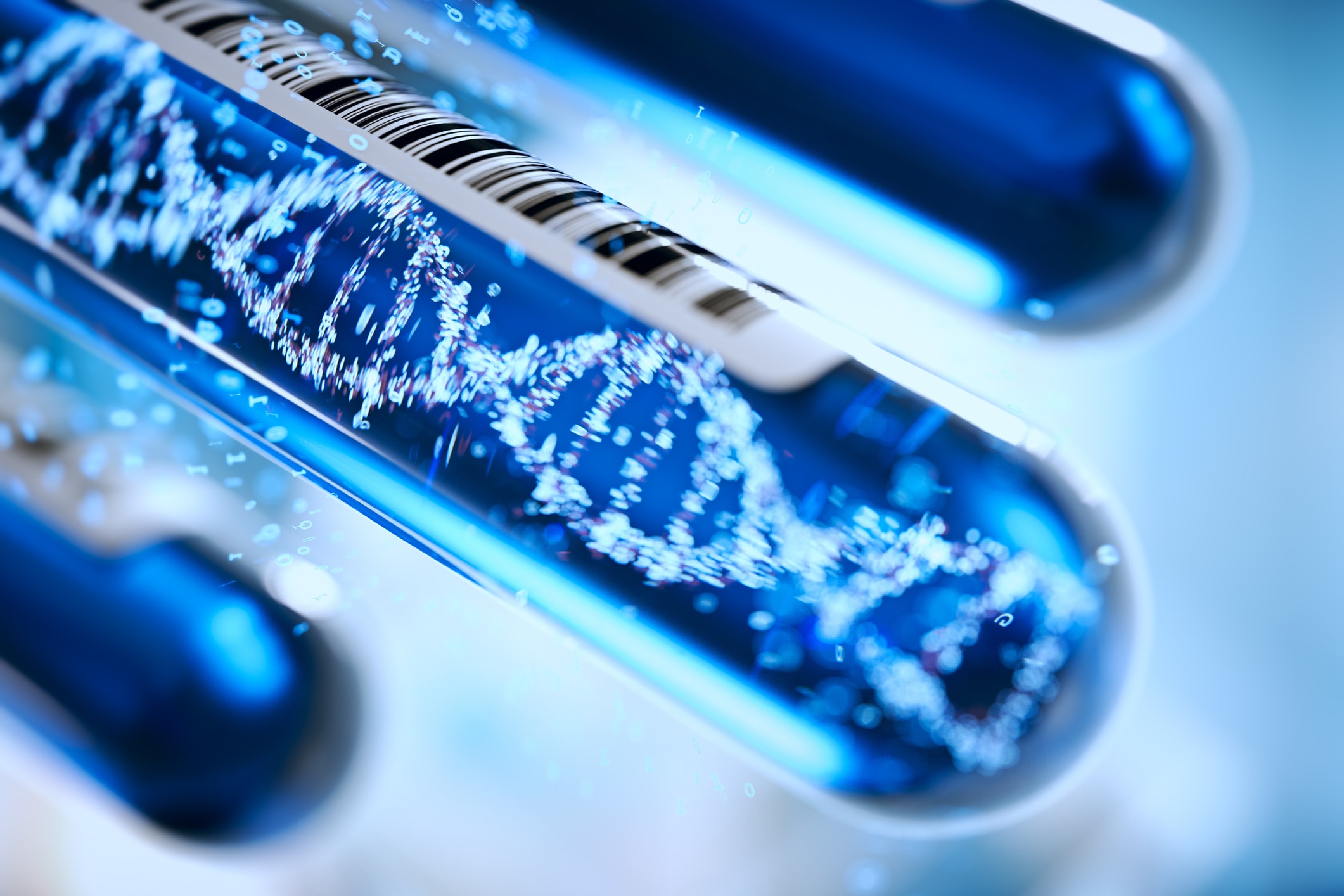 Choosing The Appropriate DNA Extraction Protocol